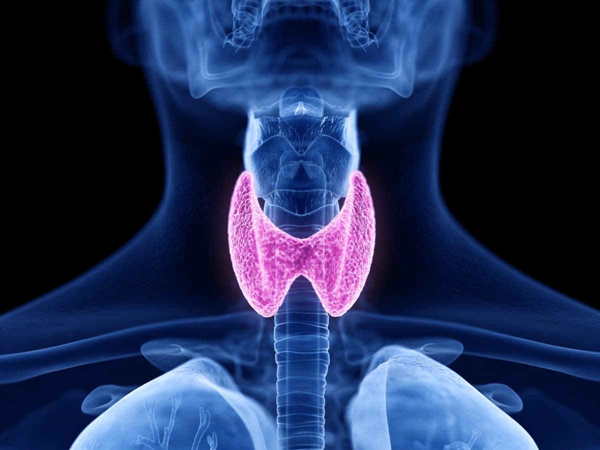 Thyroid Management at Nomi Beach Health -- Endocrinology & Weight Loss
